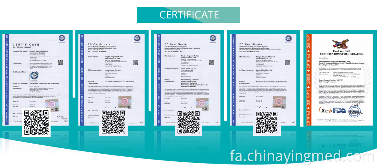Ce Iso Fda